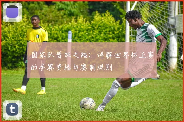 国家队晋级之路：详解世界杯正赛的参赛资格与赛制规则